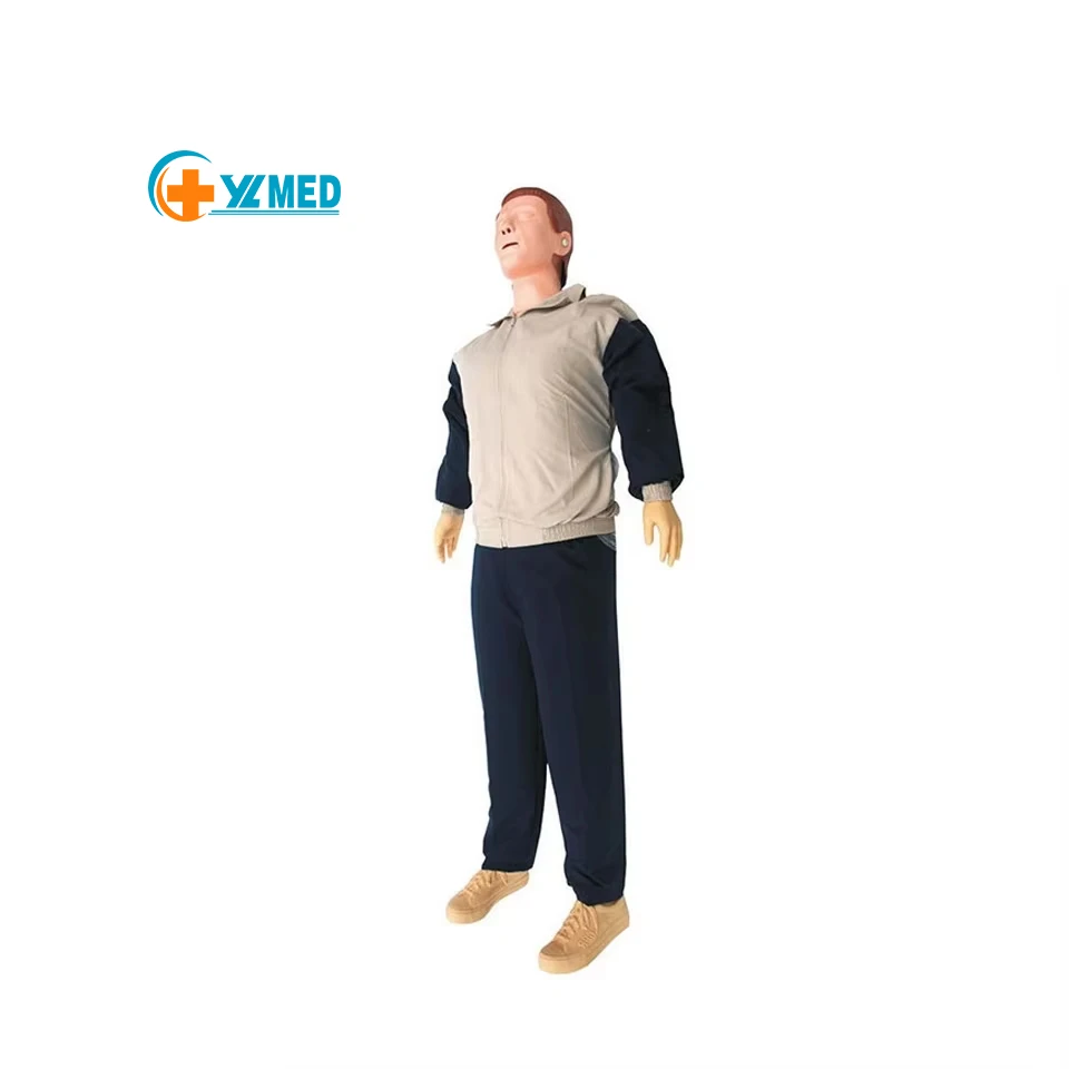 Улучшенная модель человеческого тела для проведения реанимации кардиопулевой тренировок по рисунка медицинская оказания первой