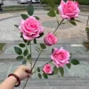 6 head corolla rose-rose red