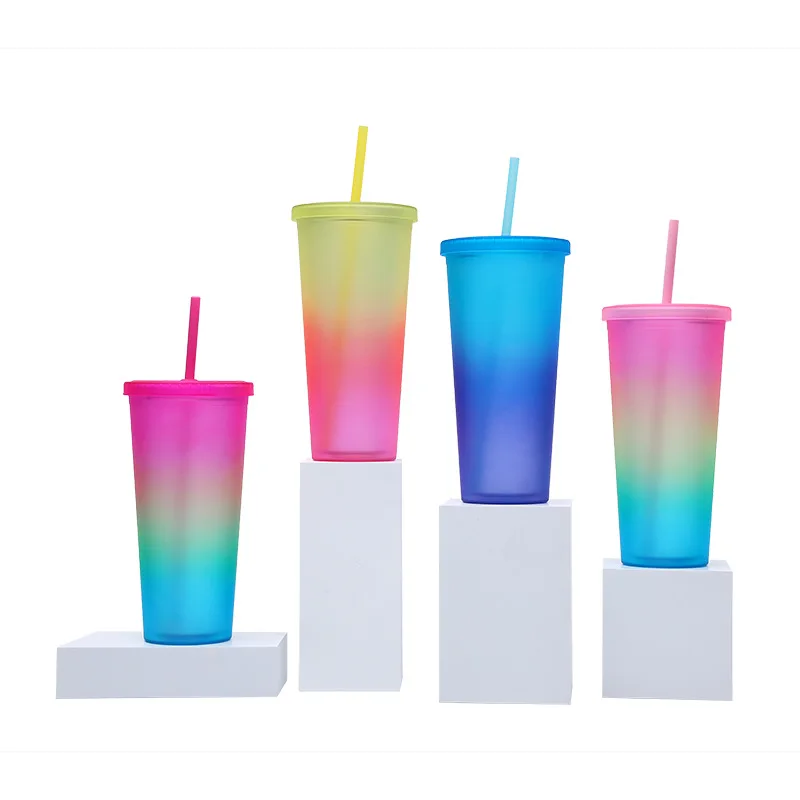 summer Cold Water Cup Tumbler With Straw Double Layer Plastic
