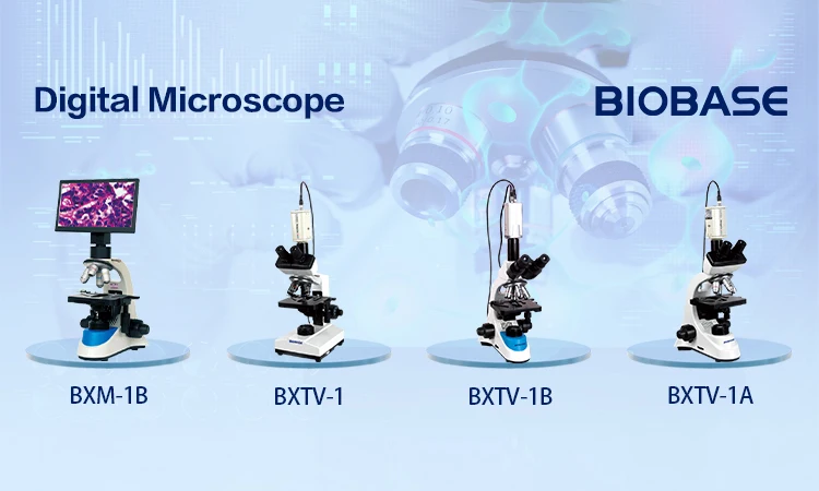 Biobase Laboratory Biological Binocular Biological Microscope For ...