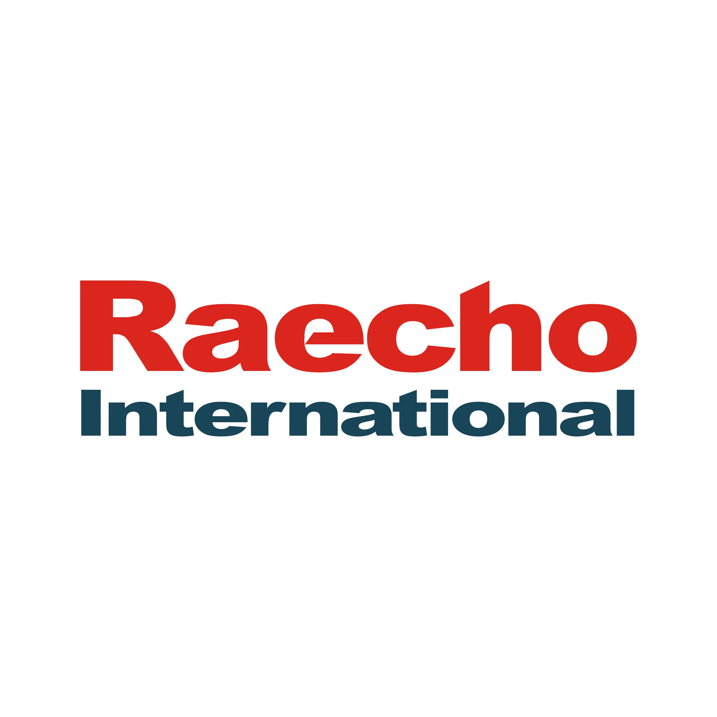 Company Overview - Raecho International Limited