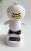 ไก่สีขาวน่ารัก