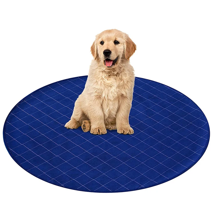 Disposable Urine Absorbent Pad Dog Training supplier