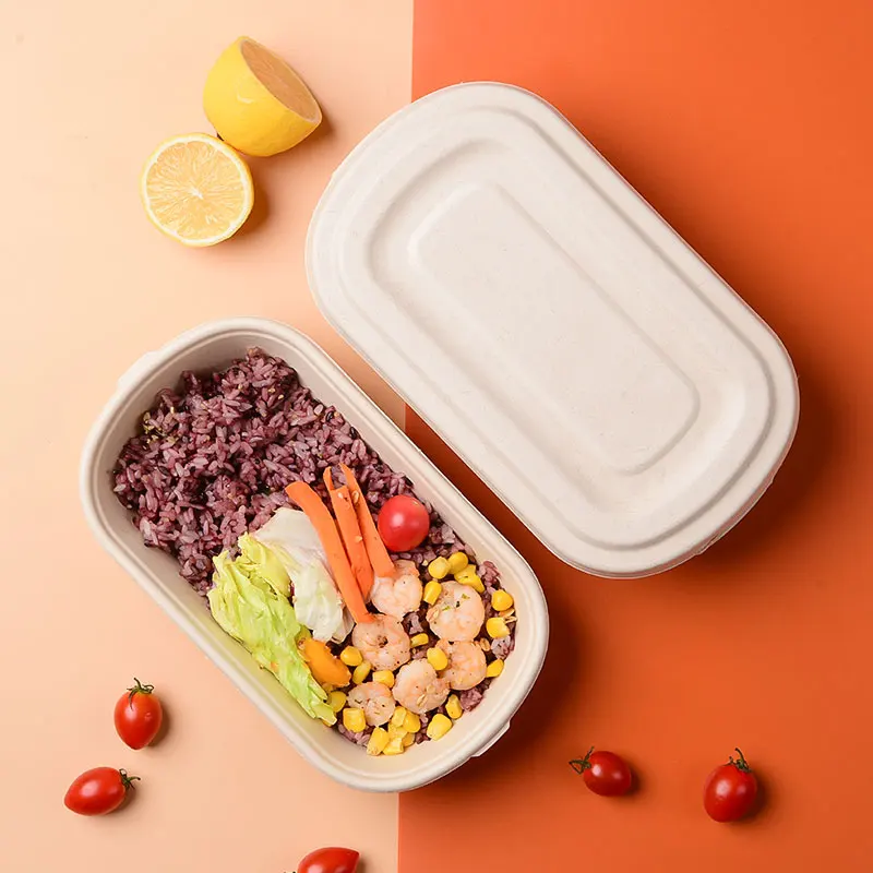 Eco-friendly 1000ml Biodegradable Lunch Box - Bagasse Paper