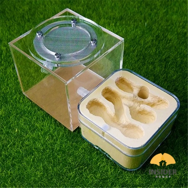 Ant Housing Nest Insect Cage Farms with Feeding Area Ant Nest 2.4x1.6X.3.2 inch Moisture Plastic Display Acryl Box