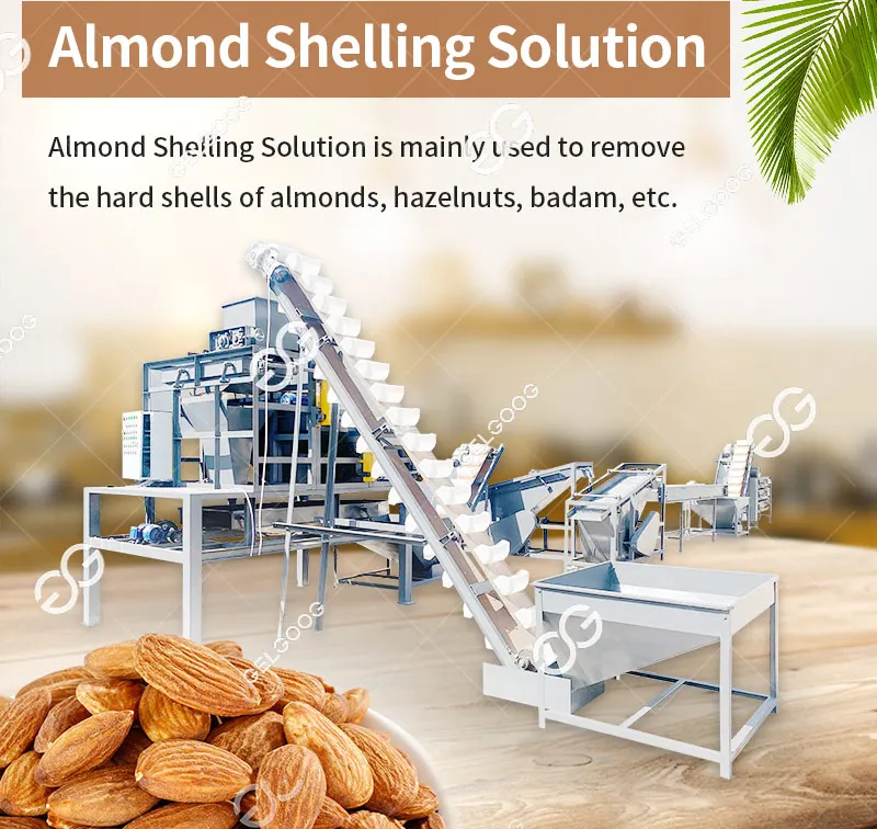 200Kg/H Multifunctional Almond Cashew Nut Shelling Crushing Machine ...