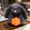 Pumpkin rabbit