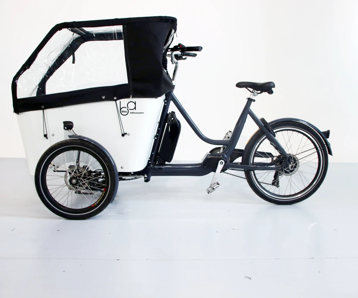 Swing Balance Electric Tilt System Version Cargo Bike 3 Three Wheels Tricycle Cargo Ebike Cargo Dog Ebike Electric Tricycles