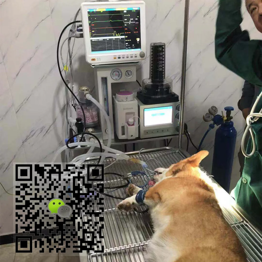 DM-6B животных ветеринарное оборудование скотный двор ПЭТ система вентиляции анестезии системы