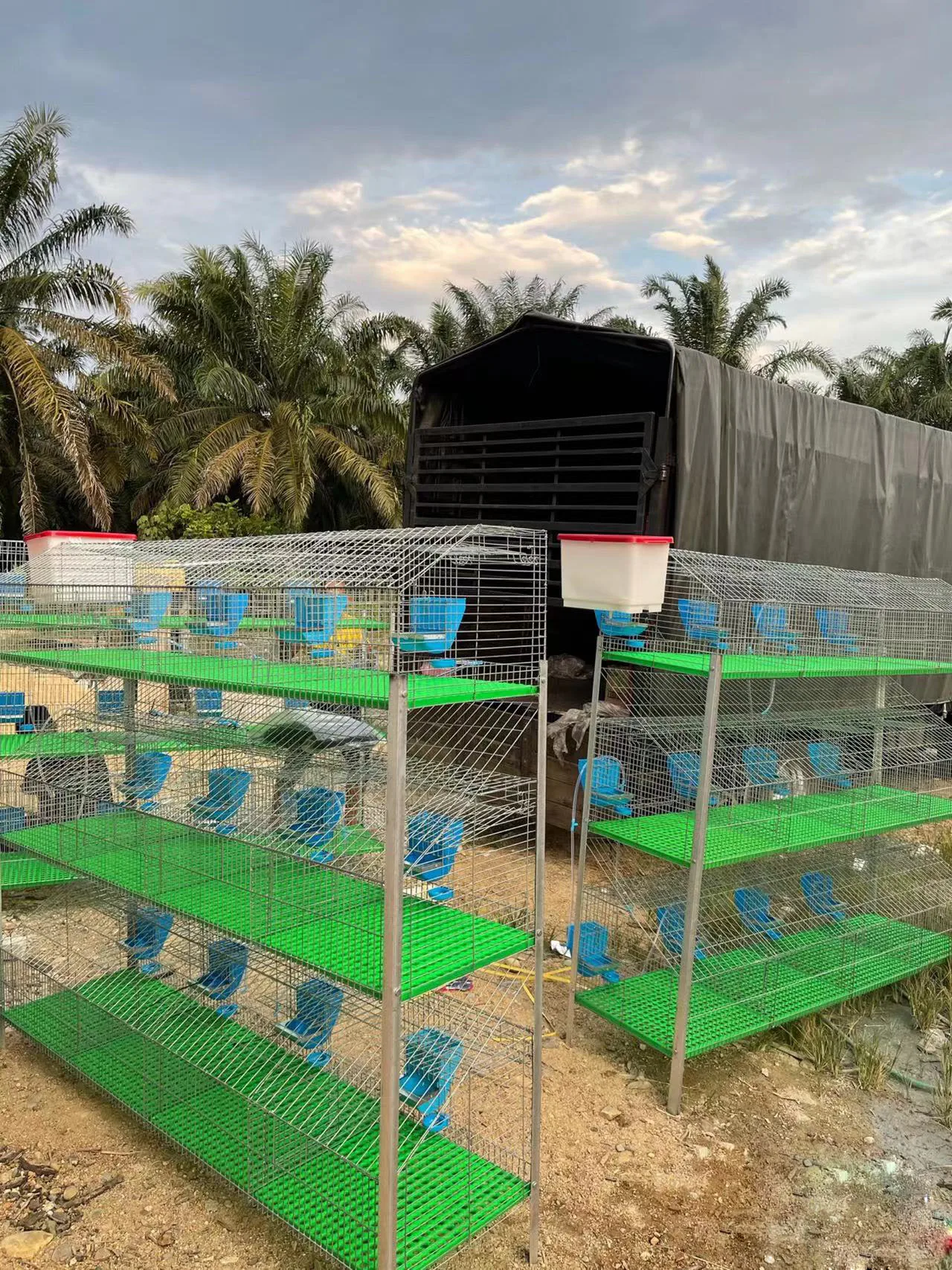 24 Cell H Type Hot Dip Galvanized Wire Mesh Indoor Rabbit Cage Layer Automatic Rabbit Cage