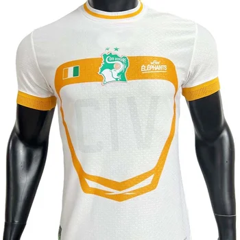 Custom Cote D Ivoire Jerseys Africa Cup Team Players/fans Soccer Wear