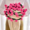 pink rose (off-white blanket)