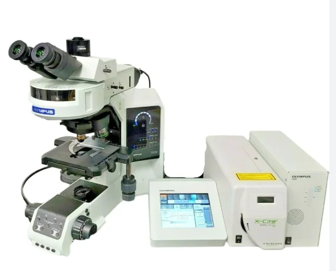 Olympus BX63 Fluorescence Microscope for Cell Culture & Research