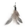 Gray feather