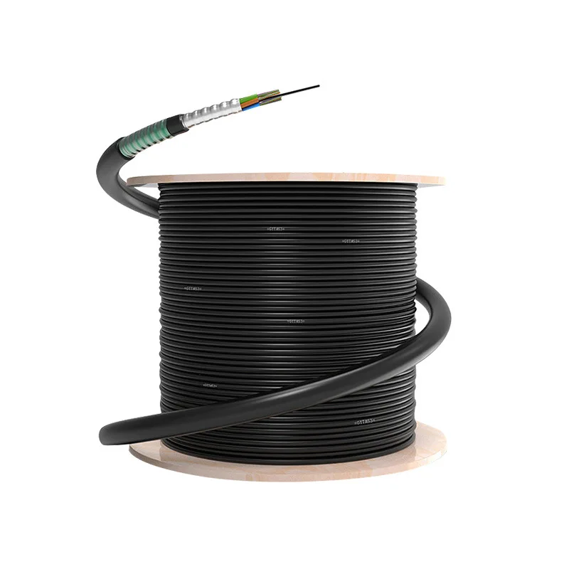 RoHS-Compliant 12-Core Single-Mode U-DQ(ZN)BH Fiber Optic Cables with Central Tube Design for Internet Backbone