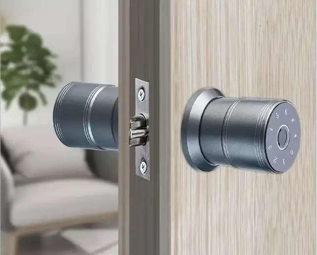 Office Tuya APP Smart Lock Aluminum Alloy Spherical Intelligent Door Lock
