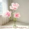 Solo teste di fiori rosa sfumati