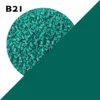 B21