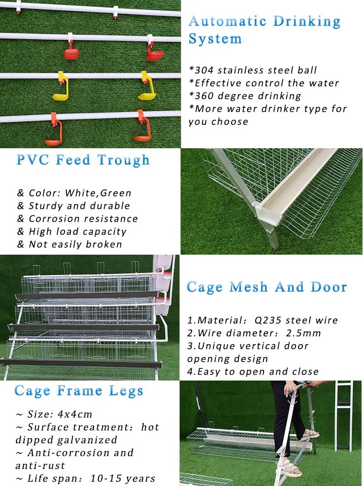 Poultry Farm 5 Tiers 250 Birds Animal Battery Layer Chicken Cages