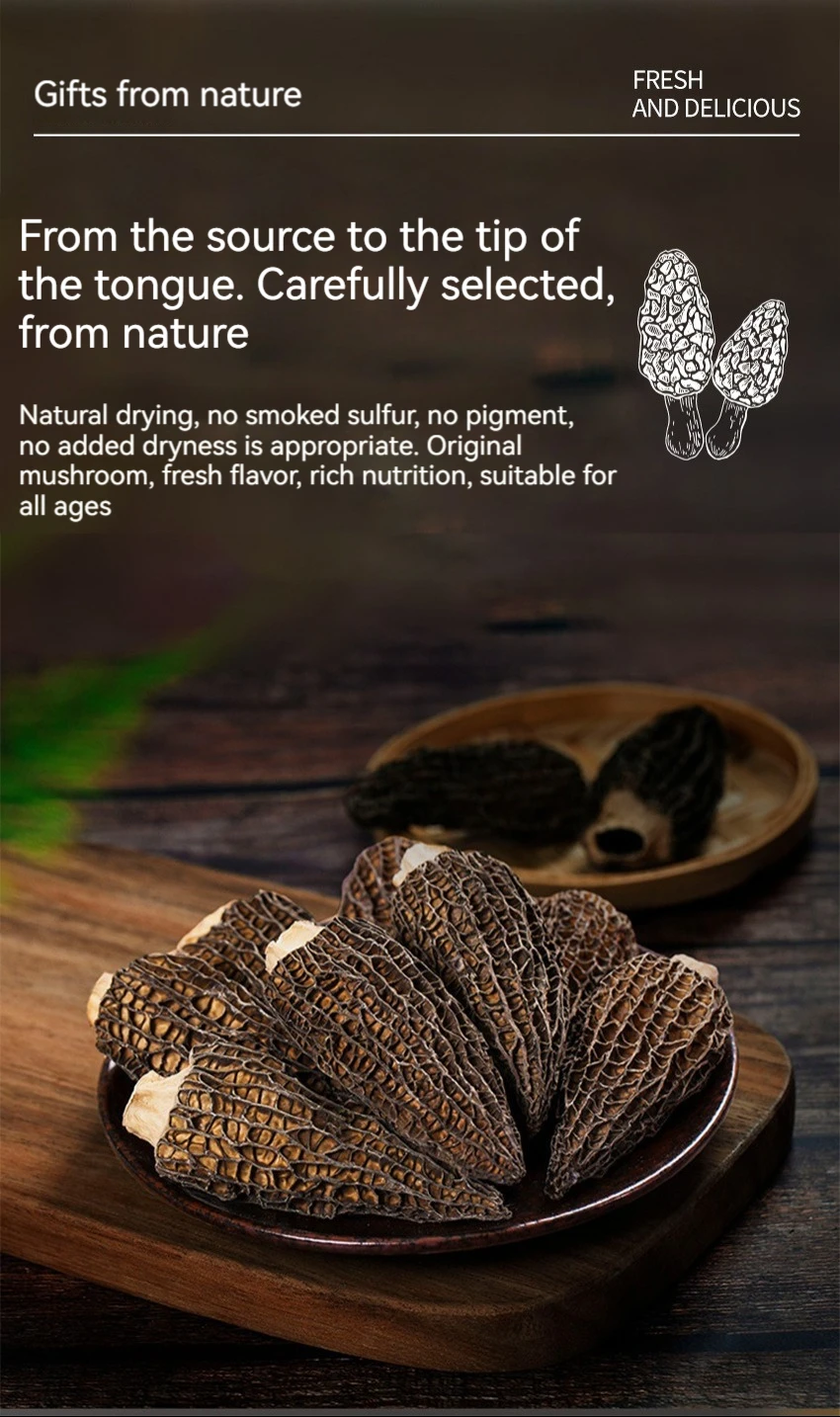 Black Morel Mushroom Dried Wild Morels For Sale Buy Wholesale Bulk Natural Organic Dried Black