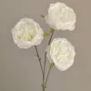 Austin rose-white-66cm