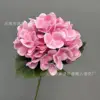 ไฮเดรนเยีย 3 มิติ สมจริง - สีชมพู