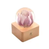 Pink Tulip