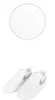Matte white (without luster)