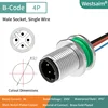 M12-B-4P male M12*1.0