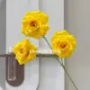 Three-headed leafless rose