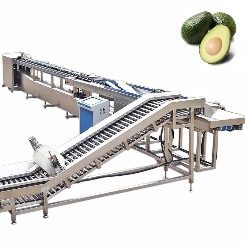 Avocado Automatic Citrus Clam Guava Chicken Bolt Candy mango Fruit Cleaning Sorting Machine
