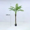 New coconut tree, 180cm