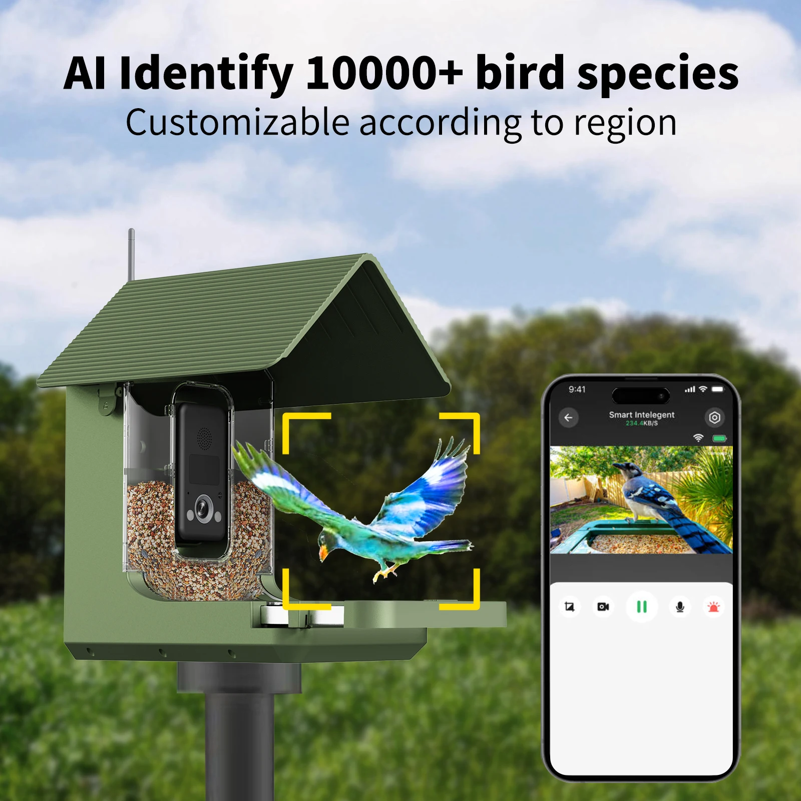 4K Smart AI Recognize Wifi Bird Camera Outdoor Ip66 Waterproof Bird Feeder with Camera for Bird Watching