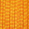 Uno giallo e uno arancione