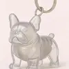 White Tough guy french bulldog