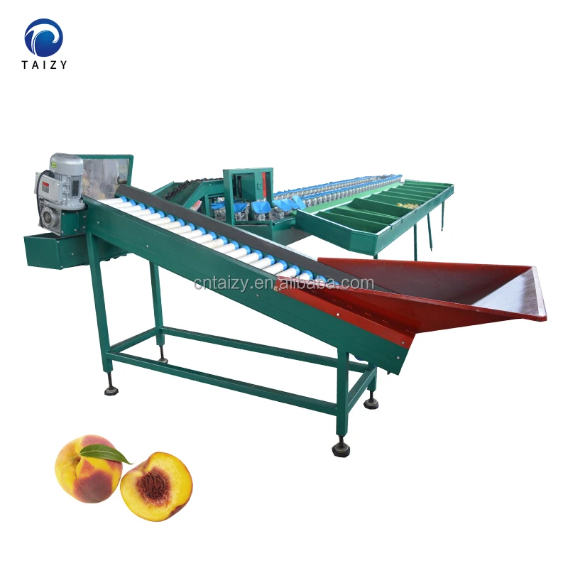 Customize Fruit Vegetable Grader Potato Mango Avocado Sorter Weight Grading Machine