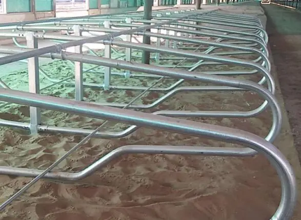 Cow breeding positioning bar Single cattle bed Cow lying in bed Stainless steel cattle partition Cattle Farm Professional Fence