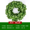Virginia creeper strips (12 strips per pack)