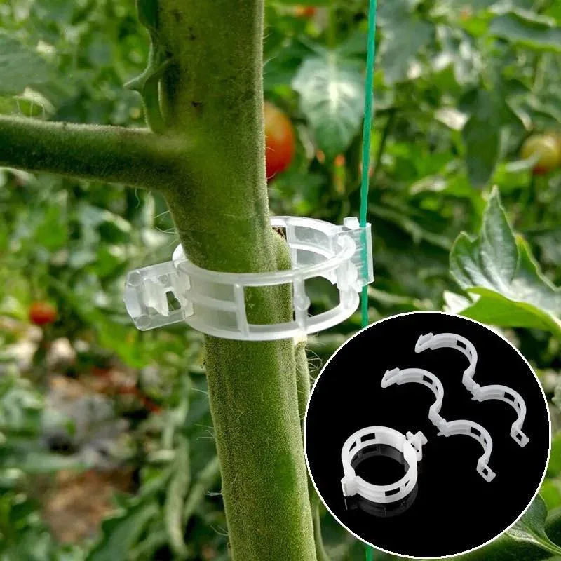 Hot Sale Silicon Tomato Grafting Trellis Trellising Plastic Clips With ...