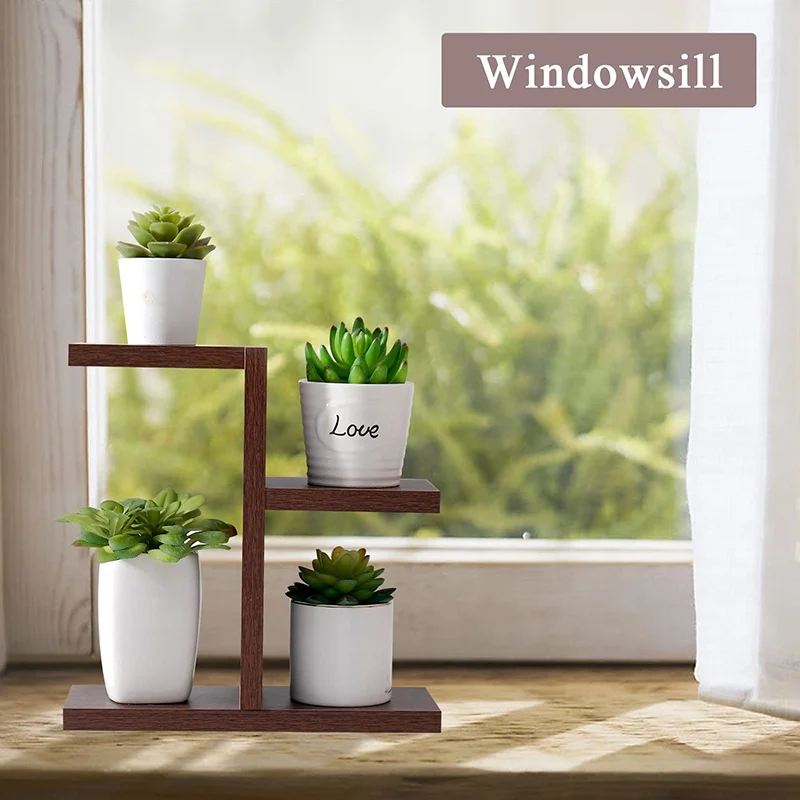 birkin philodendron for sale Buy Philodendron Birkin