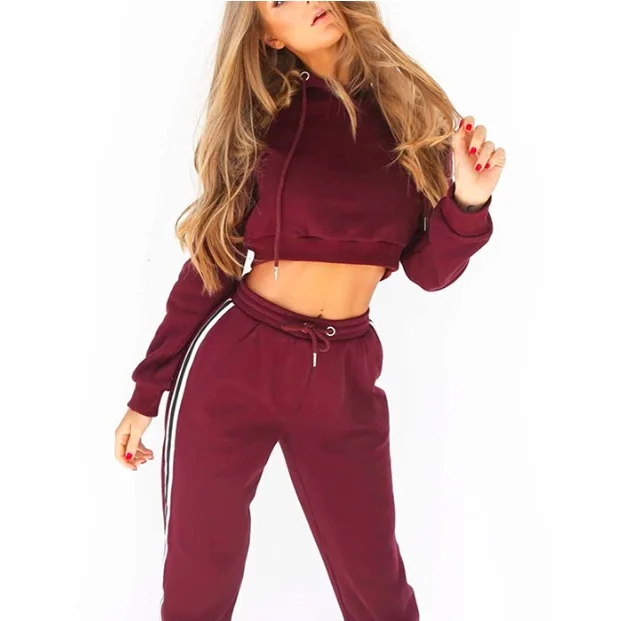 2019 Ropa De Otoño Las Mujeres De Moda Sudadera Top Pantalones Conjuntos De Chándal De Terciopelo Suave Traje De Las Mujeres 2pcs Conjunto - Buy Conjunto Dos Piezas