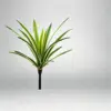 16cm, 18 leaves with white edges