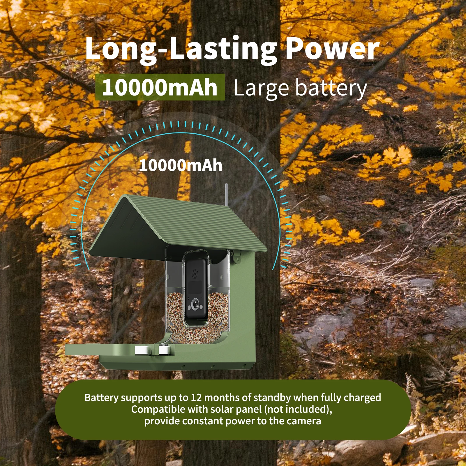 4K Smart AI Recognize Wifi Bird Camera Outdoor Ip66 Waterproof Bird Feeder with Camera for Bird Watching