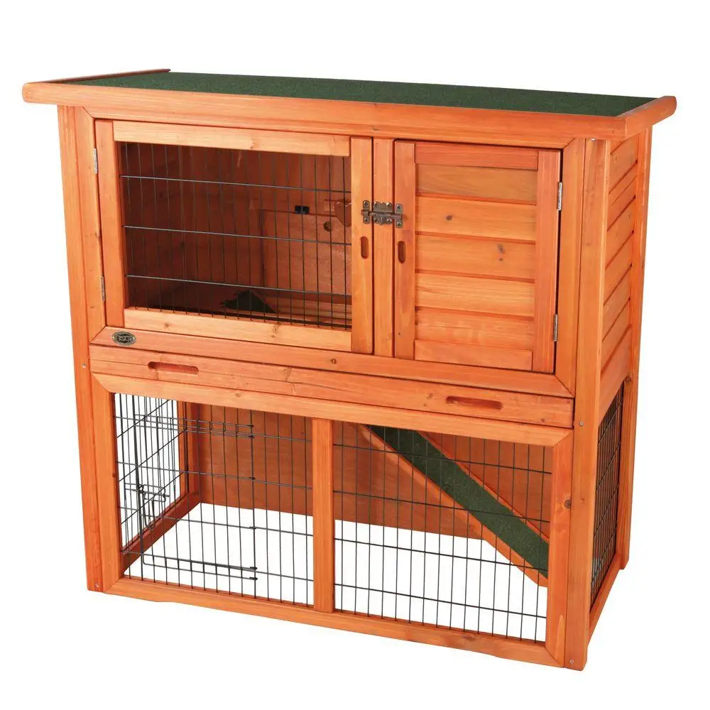 rabbit and hutch for sale