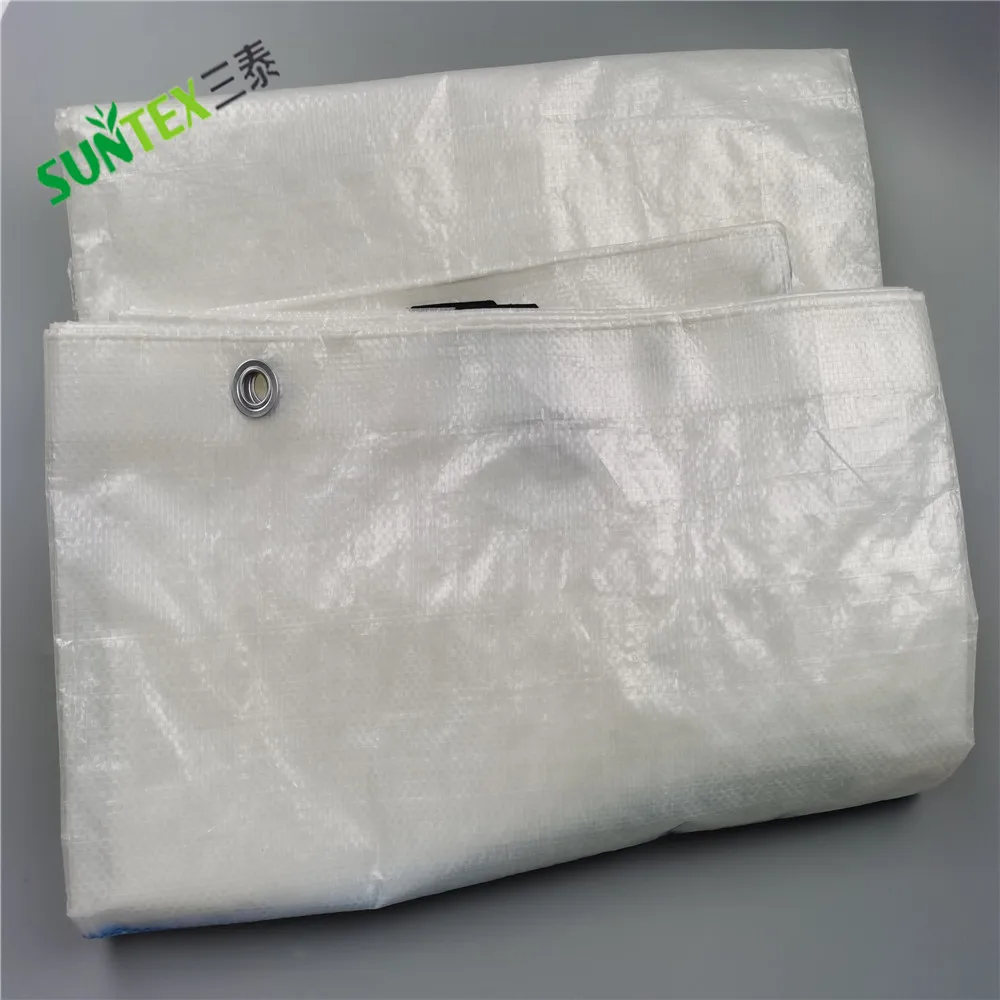 20m X2m UV Resistant Plastic Rain Covers for Orchards Cherry Table Grape Protection Cover PE Tarpaulin