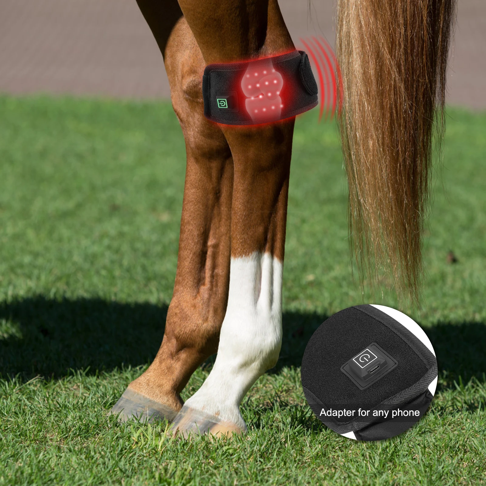 Anredar 660nm 850nm Therapy Horse Tendon Boots Hot Leg Infrared Wraps