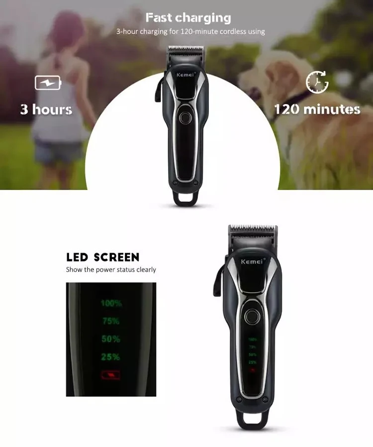 Kemei 1991 12