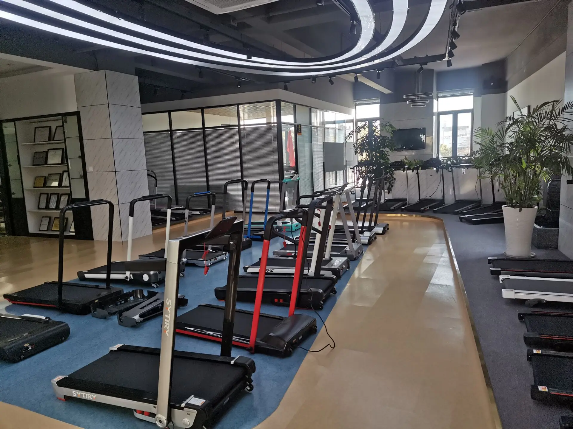 Pet Running Machine For Small/mediumsized Dogs Indoor Exercise Buy