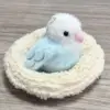 Blue budgie pendant birds nest