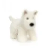 Terrier Munro dell'altopiano occidentale